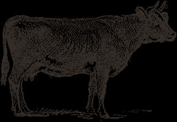 Simply Snackin' - Gluten Free Low Carb Meat Snacks - Various Flavors