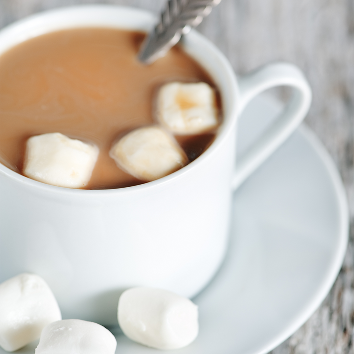 DPTG Hot Cocoa With Marshmallows