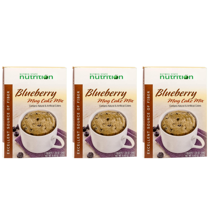 Fit Wise Blueberry Mug Cake