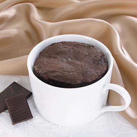 Fit Wise Chocolate Mug Cake